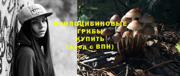 прущий лед Армянск