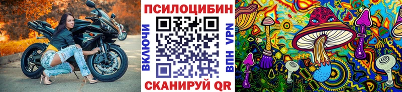 даркнет сайт  Светлоград  Псилоцибиновые грибы GOLDEN TEACHER 